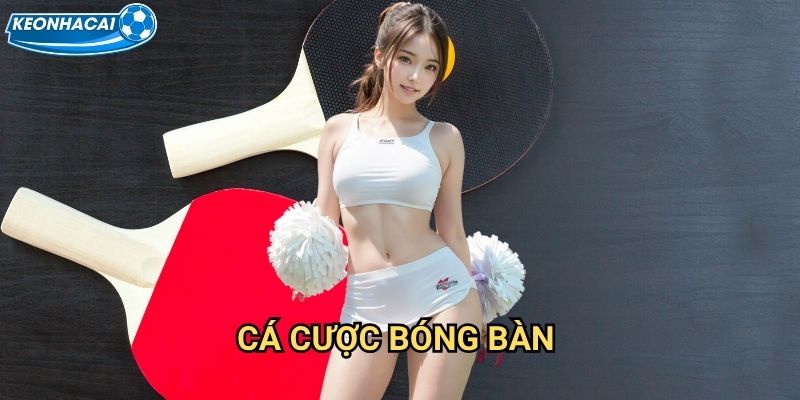 Cá cược bóng bàn Kèo nhà cái family - Nghệ thuật dự đoán ping pong chuyên nghiệp