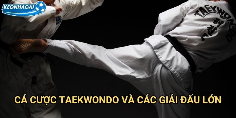 Taekwondo là gì Kèo nhà cái family - Võ thuật Hàn Quốc đẳng cấp Olympic 3 Cá cược taekwondo và các giải đấu lớn