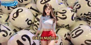 Cách nuôi lô Kèo nhà cái family - Chiến lược kiên nhẫn để thu hoạch lớn