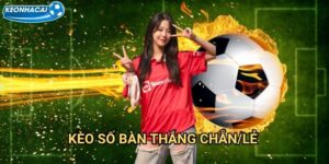 Kèo số bàn thắng chẵn/lẻ Kèo nhà cái family - Dự đoán tính chẵn lẻ tổng bàn thắng