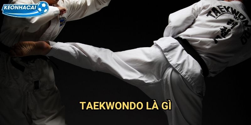 Taekwondo là gì Kèo nhà cái family - Võ thuật Hàn Quốc đẳng cấp Olympic